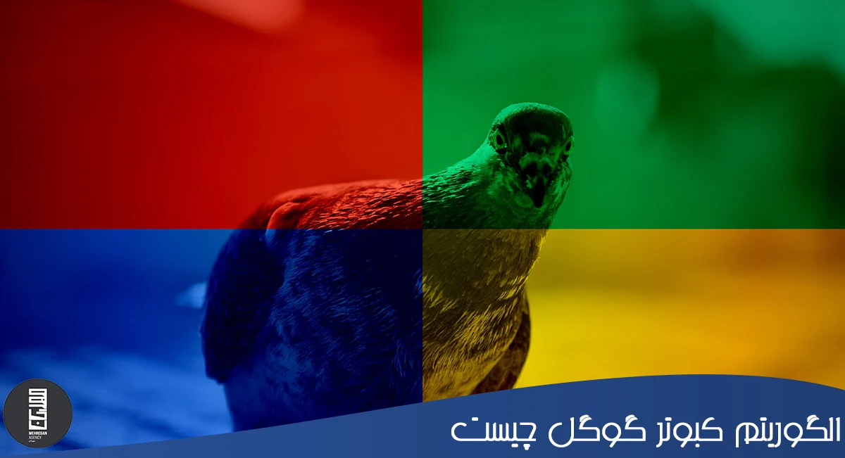 الگوریتم کبوتر گوگل - آژانس دیجیتال مارکتینگ مهرگان